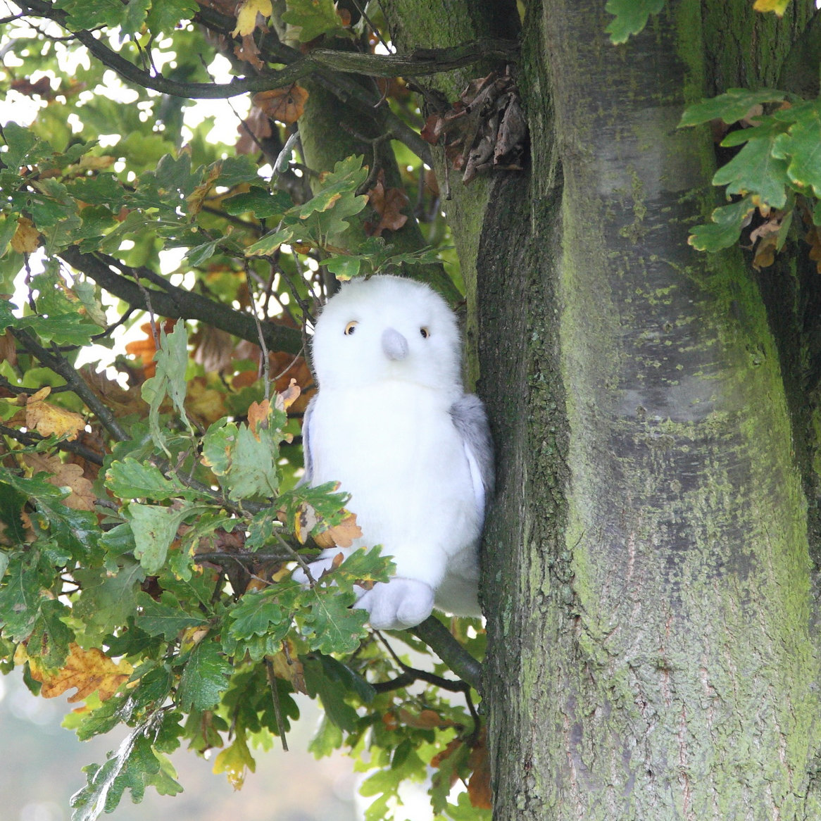 Ein Garten fürs Zahlenland
