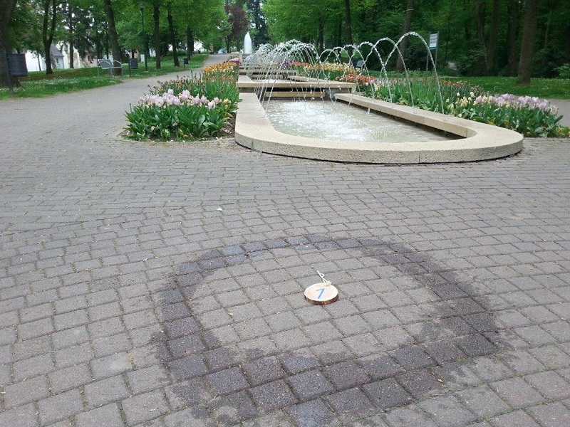 Seminar Den Zahlen auf der Spur