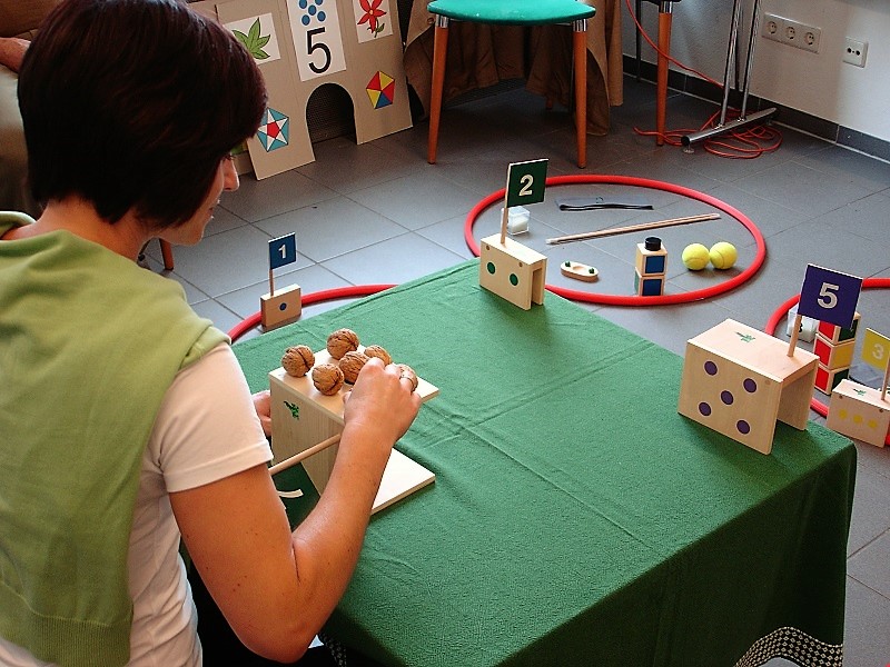 Seminar Zahlenland 2 Zahlenhaus