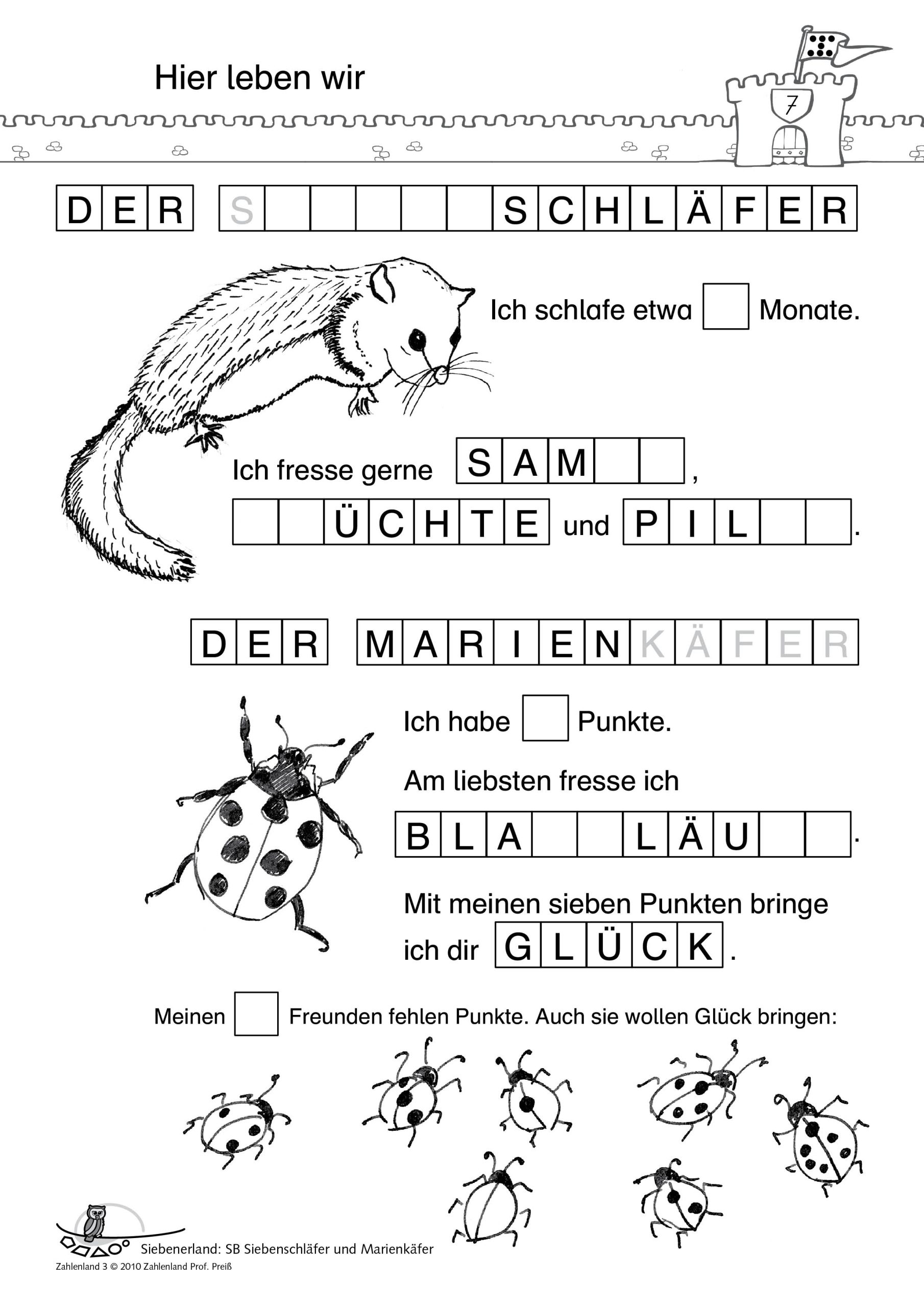 Stundenbilder Schülerblätter ZL3_Bd2_SB7_6-10_V2