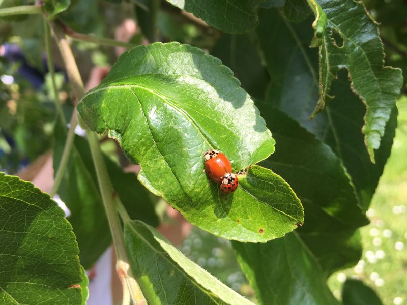 pack die Zahl zahlen auf der Spur