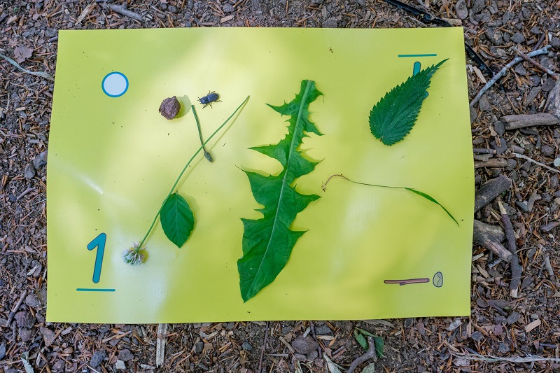 Zahlenwaldseminar Luxemburg