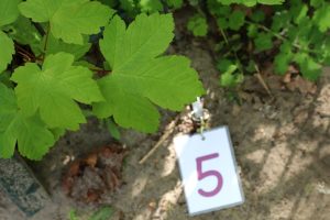 Den Zahlen auf der Spur