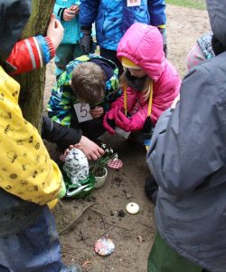 Den Zahlen auf der Spur