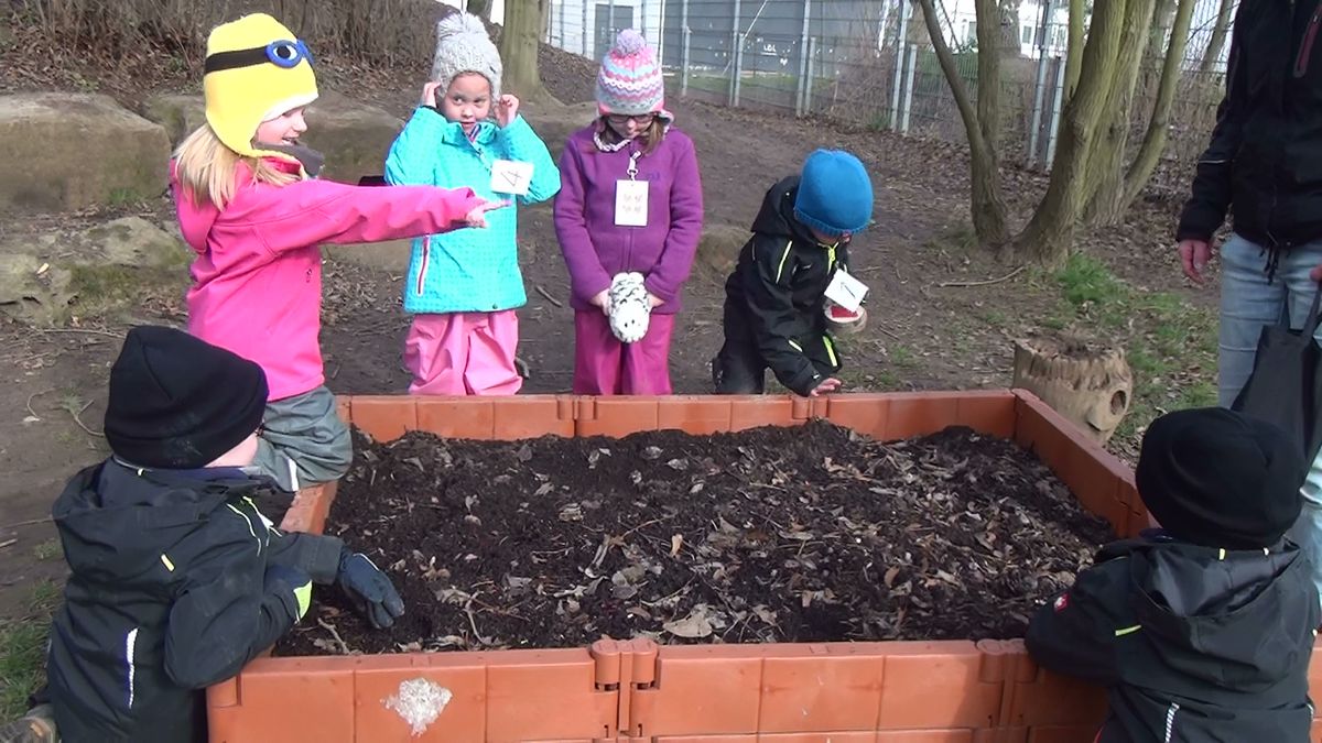 Den Zahlen auf der Spur