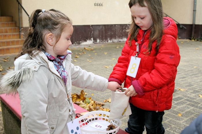 Den Zahlen auf der Spur