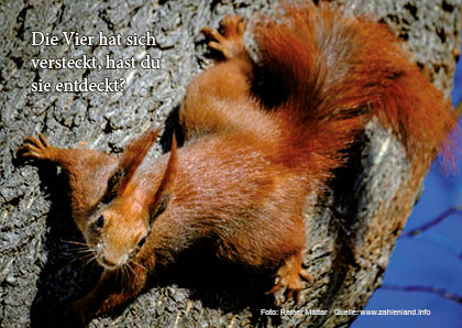Die Vier hat sich versteckt.