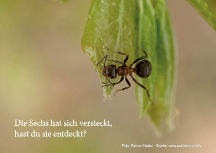 Ein Mond steht am Himmel.