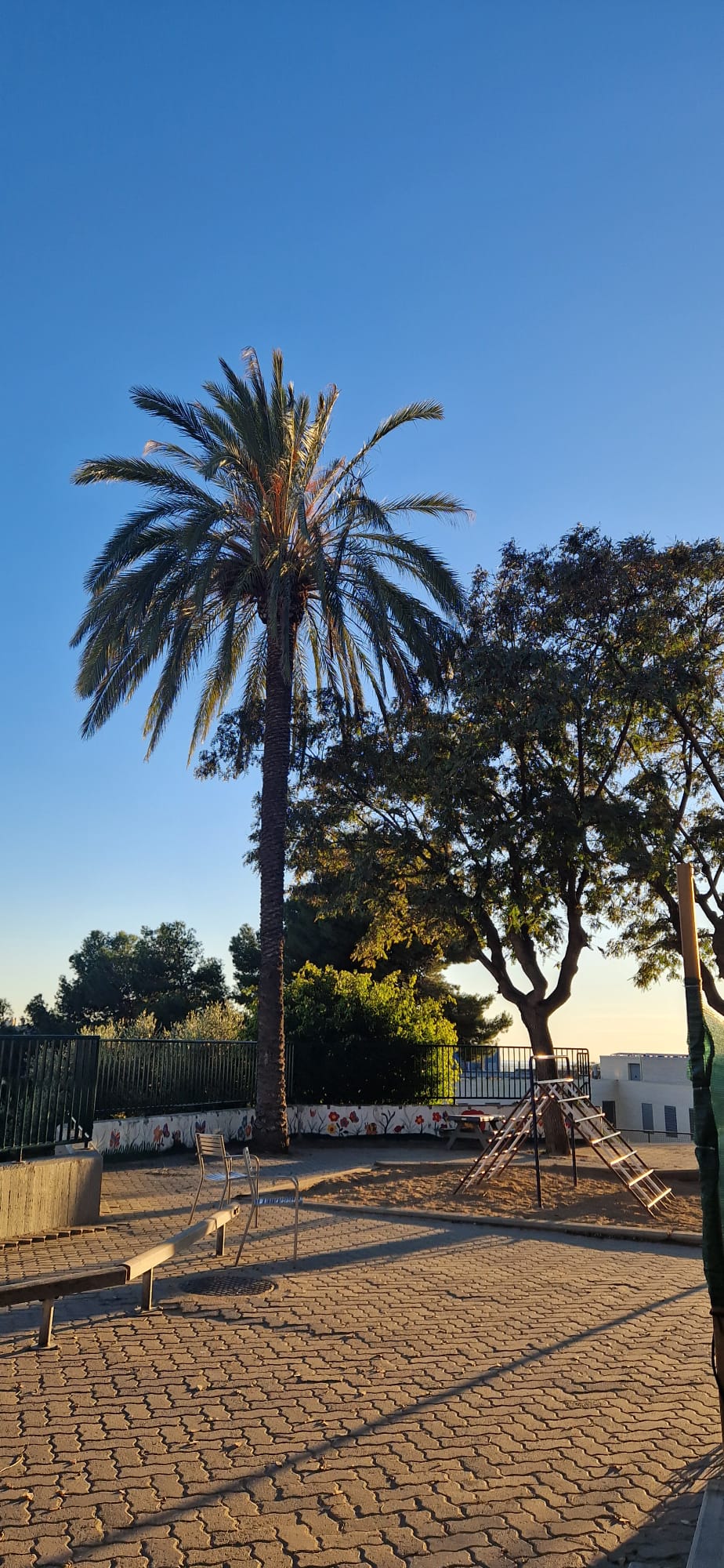 IMG-20240108-Barcelona2