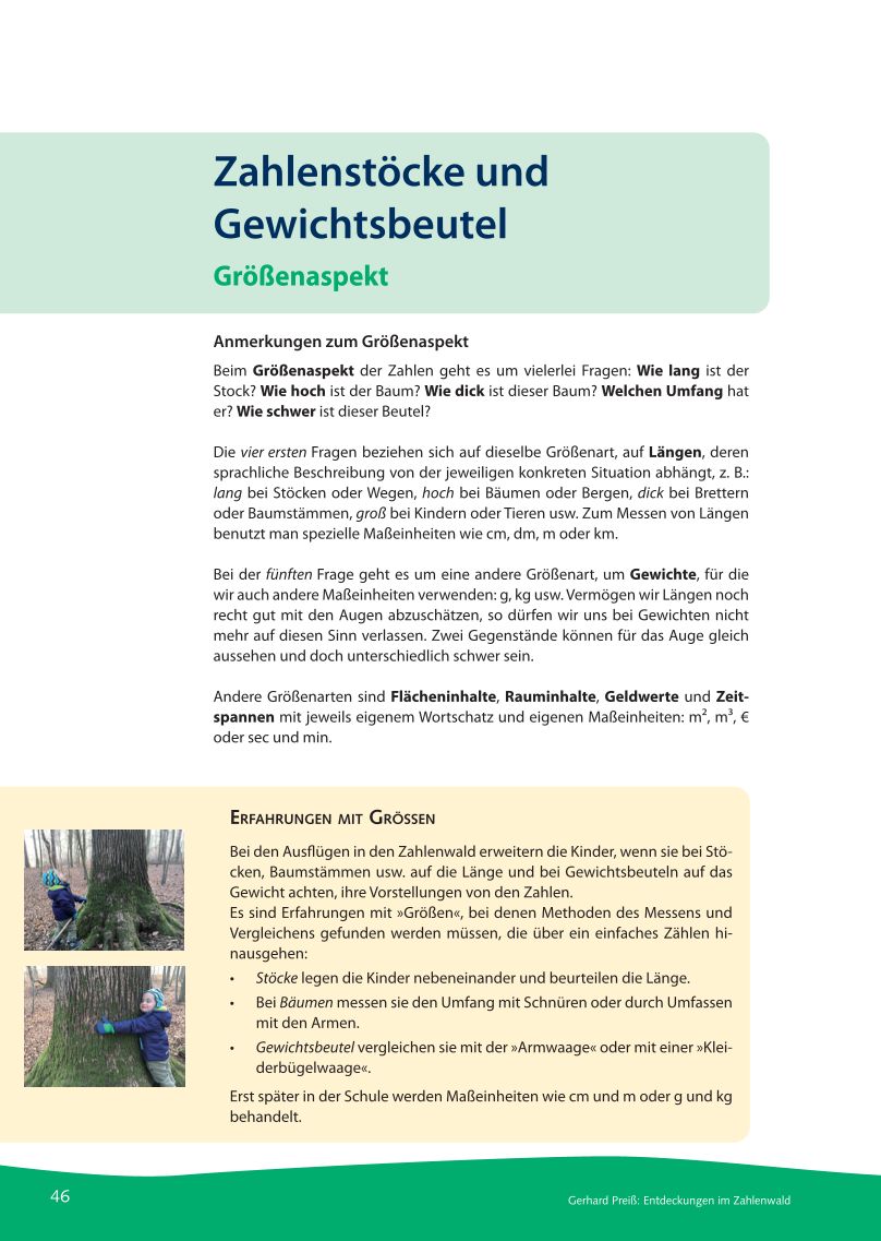 Entdeckungen im Zahlenwald – Bild 5