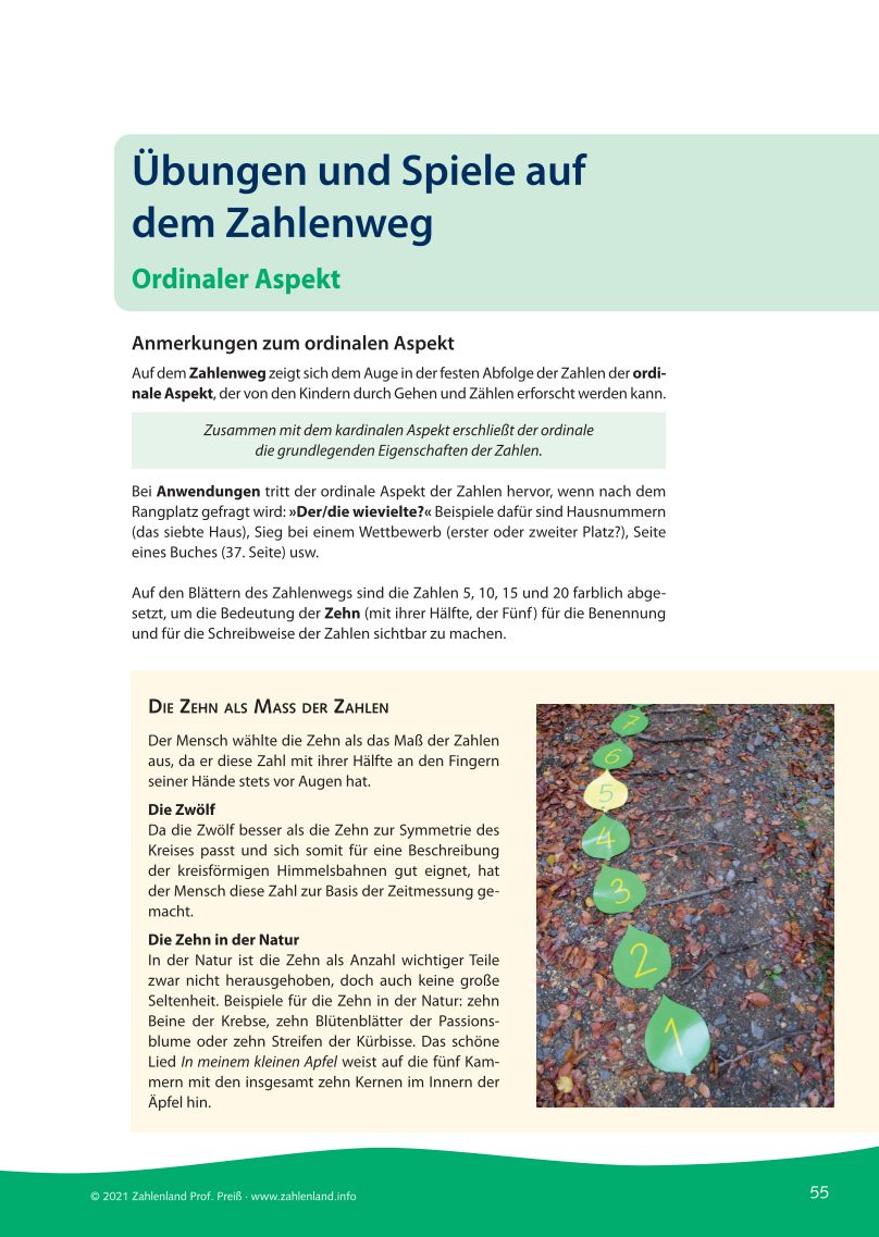 Entdeckungen im Zahlenwald – Bild 7