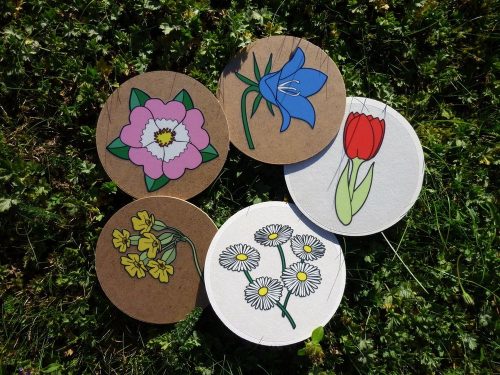 4407-28-B-Garten-AufkleberBlumen-P1040641