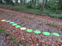 Der Outdoor-Zahlenweg: Baumblätter für den Zahlenweg von 1 bis 20 (Zahlenwald-Einzelprodukt) – Bild 4