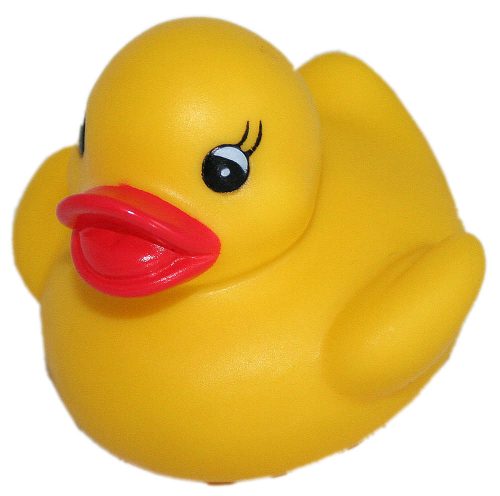 Ente klein