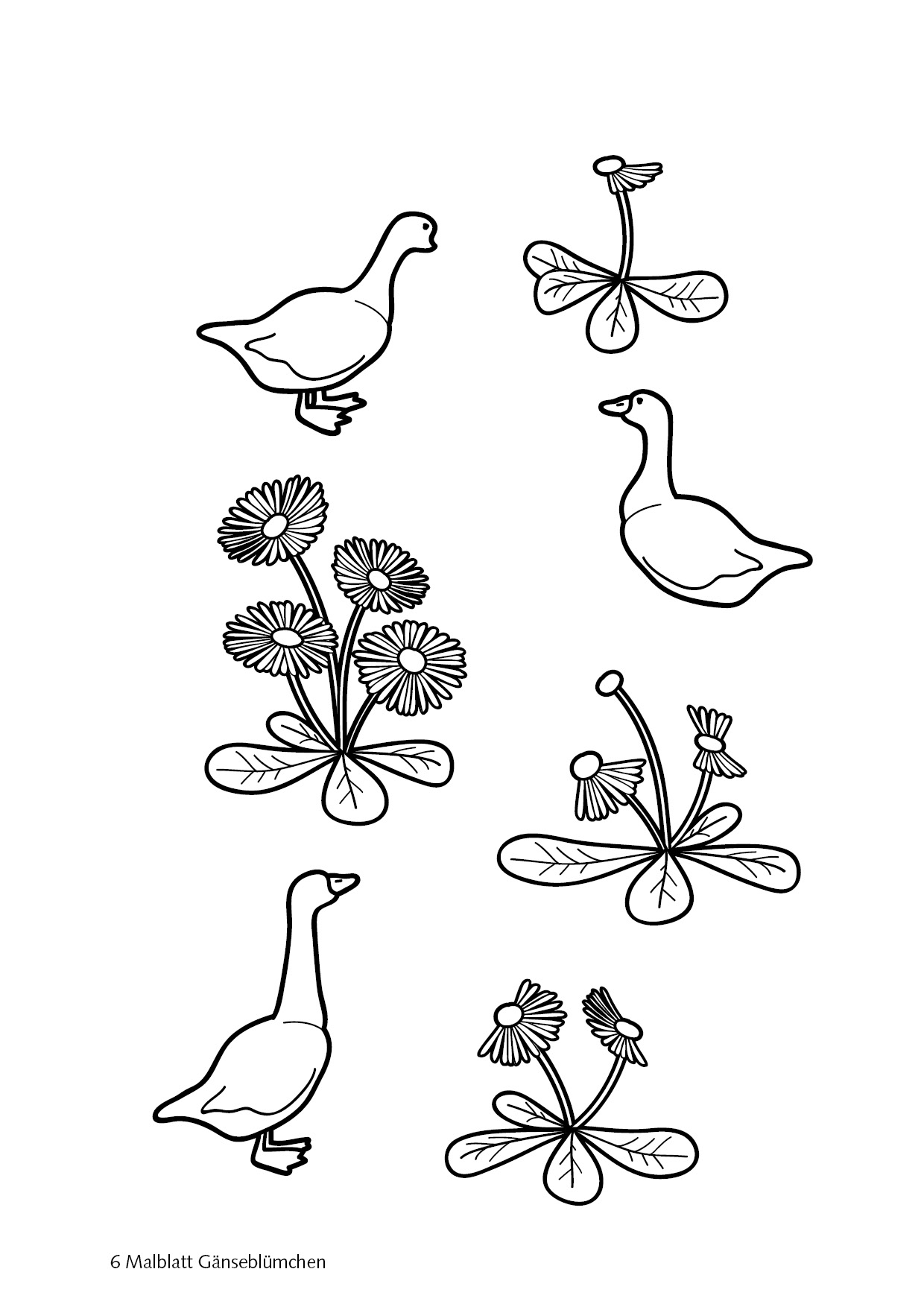 PDF: Mal- und Bastelbuch Mein Gartenbuch zum Zahlenland – Bild 13