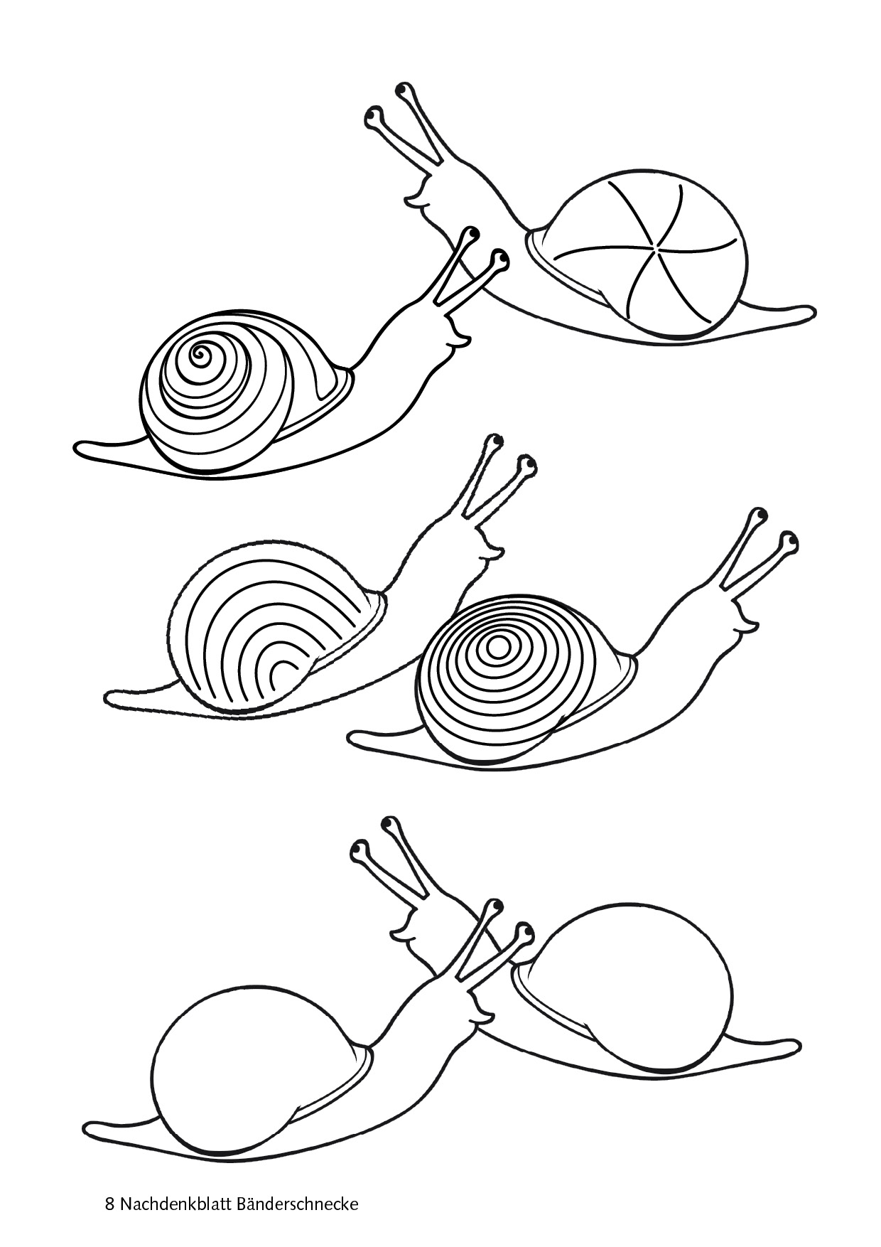 PDF: Mal- und Bastelbuch Mein Gartenbuch zum Zahlenland – Bild 9